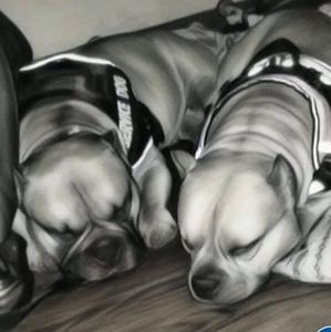 Meet your Posher, Brett